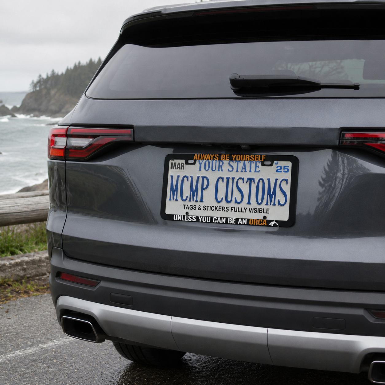 Always Be Yourself Unless You Can Be An Orca Funny Aluminum License Plate Frame