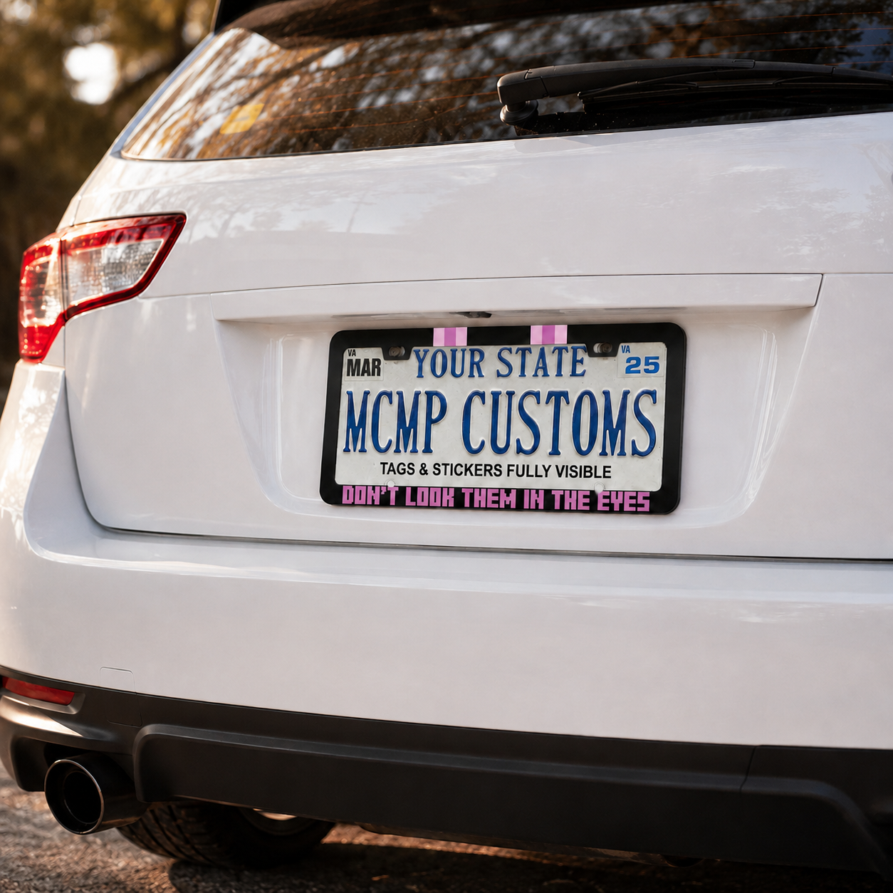 Don't Look Them In The Eyes Minecraft Enderman Gaming Aluminum License Plate Frame