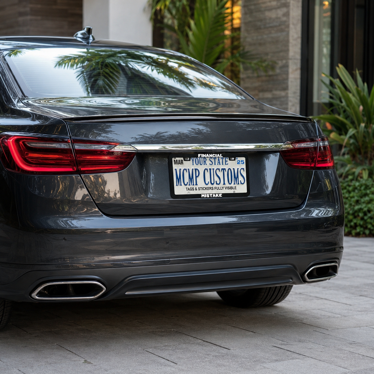 Financial Mistake Funny Aluminum License Plate Frame