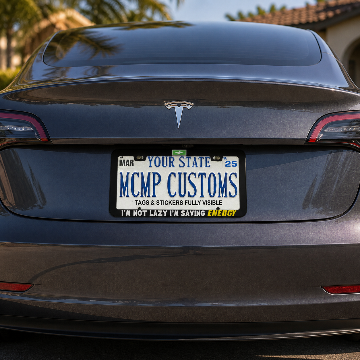 I'm Not Lazy, I'm Saving Energy Funny Aluminum License Plate Frame