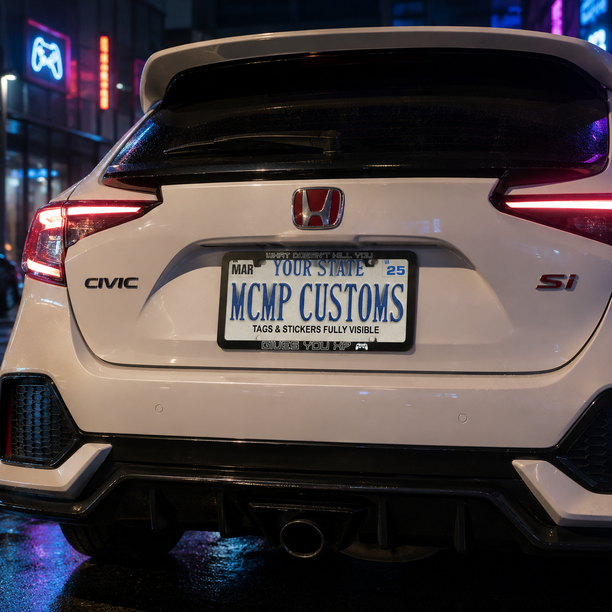 What Doesn't Kill You Gives You XP Gaming Aluminum License Plate Frame