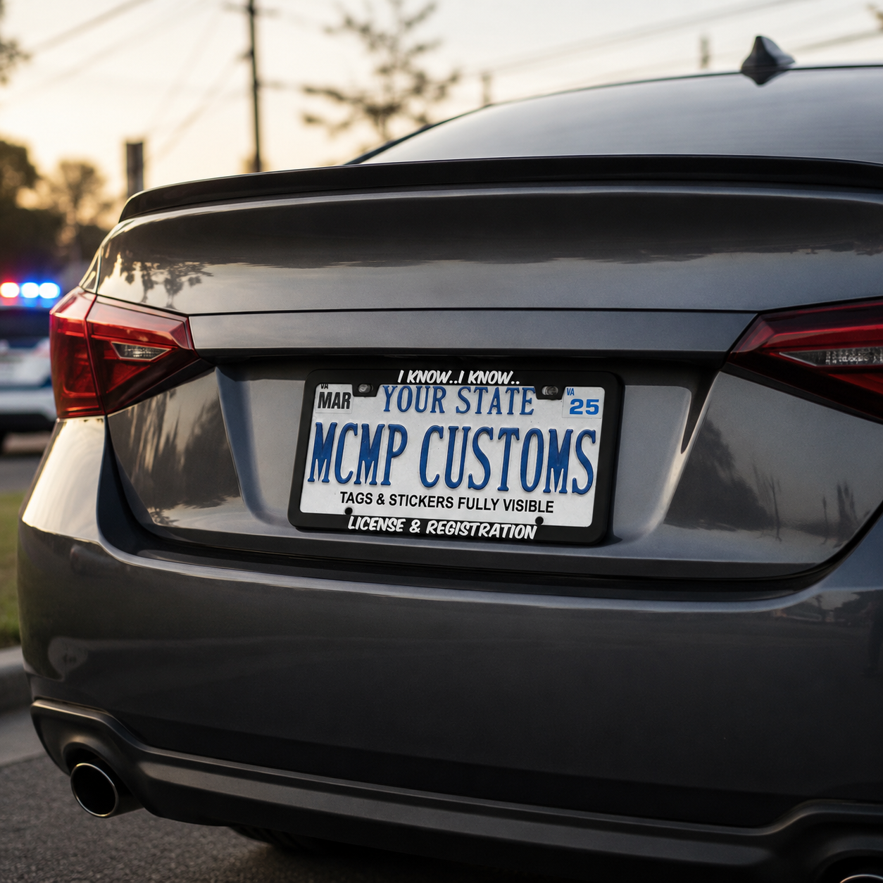 I Know I Know License And Registration Funny Aluminum License Plate Frame