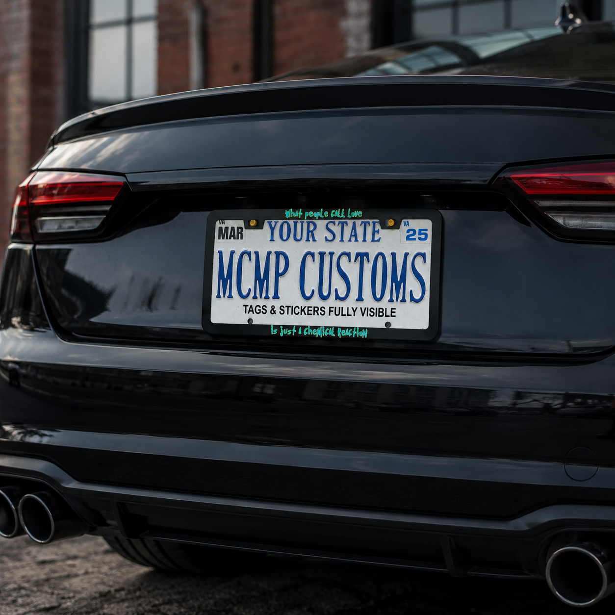 What People Call Love Is Just A Chemical Reaction license plate frame lifestyle photo
